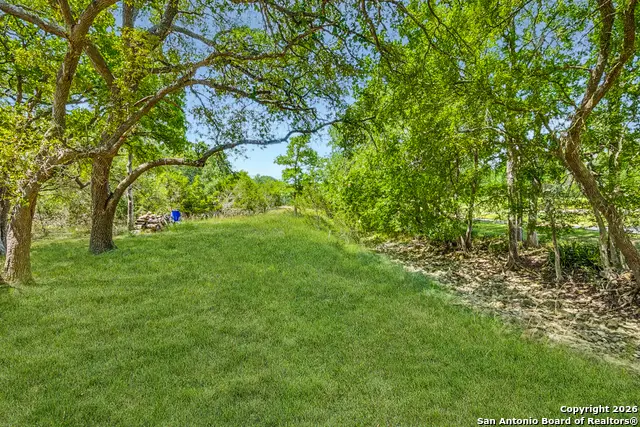 212 S. John Bird, Blanco, TX 78606 - Image #2