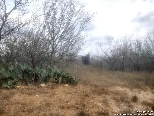 0 Schneider Rd, Seguin, TX 79155