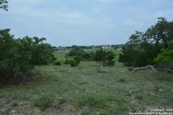 132 W Pat Dolan, Blanco, TX 78606