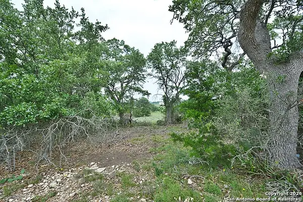 134 W Pat Dolan, Blanco, TX 78606