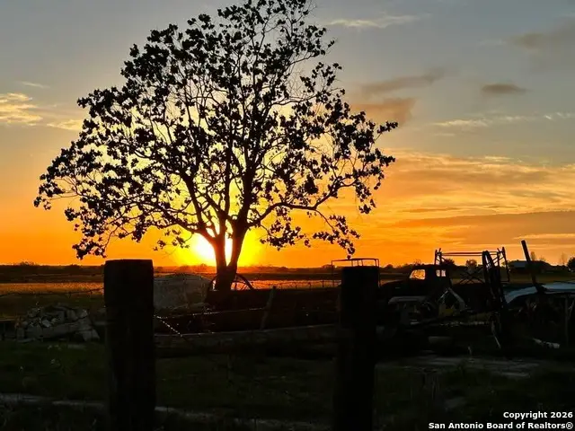 1485 Fm 2579, Floresville, TX 78114 - Image #3