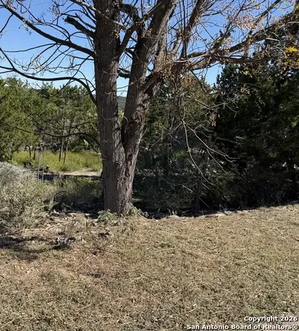651 Scott Way, Canyon Lake, TX 78133 - Image #3