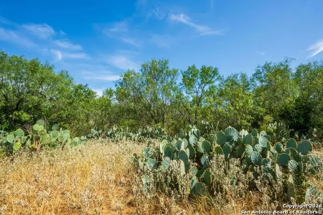 CR 732 Cr, Yancey, TX 78886 - Image #1