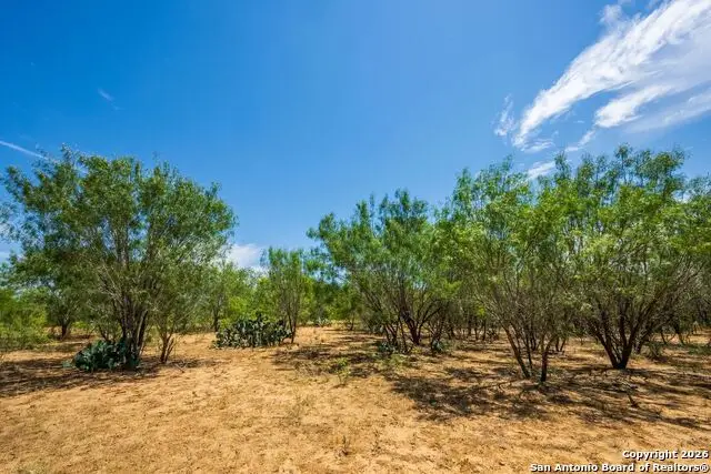 FM2200 2200, Yancey, TX 78886 - Image #3