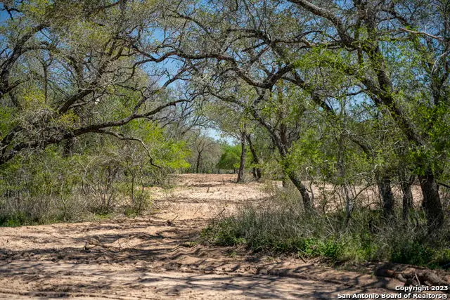 2731 County Road 770, Natalia, TX 78059 - Image #1