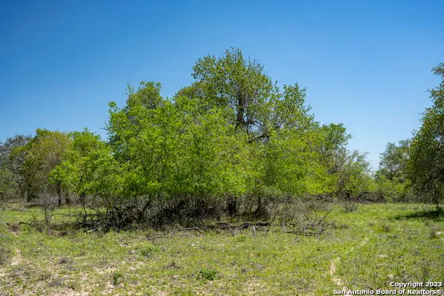 2721 County Road 770, Natalia, TX 78059 - Image #1