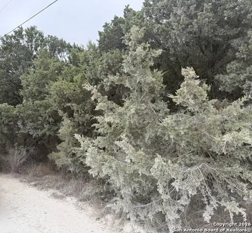 1372 Laguna Dr., Spring Branch, TX 78070 - Image #2