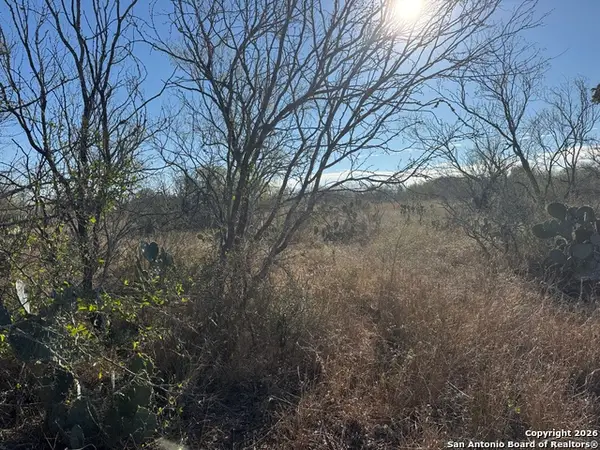 00 Rodriguez Acres Pr, Jourdanton, TX 78026