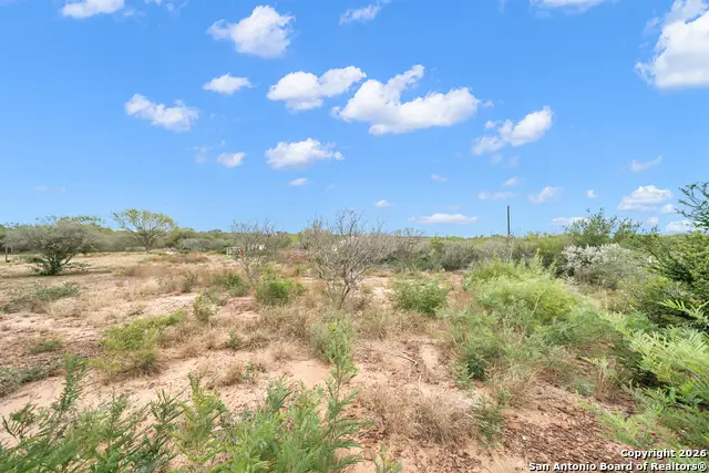 138 County Road 2665, Devine, TX 78016 - Image #2