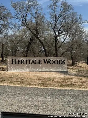 145 Syrah St, La Vernia, TX 78121 - Image #2