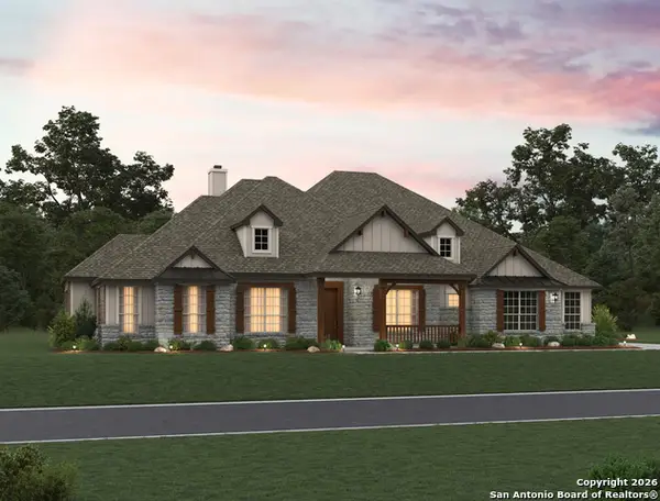 10707 Chestnut Warbler, New Braunfels, TX 78132