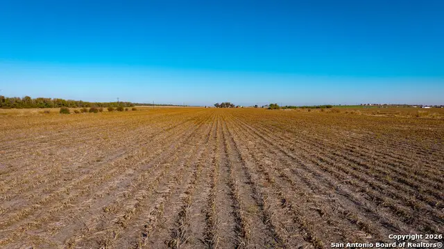 TBD County Road 5715, Natalia, TX 78059 - Image #2