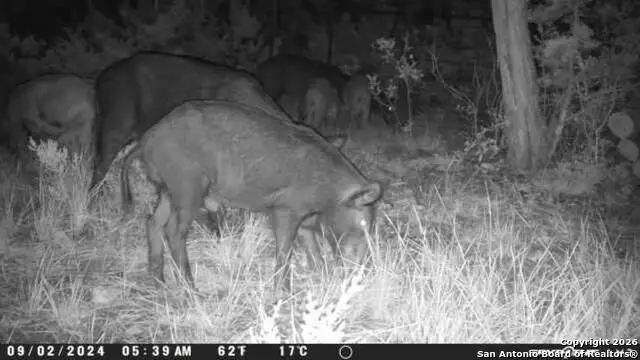 TBD Hegedus Ranch Rd, Rocksprings, TX 78880 - Image #2