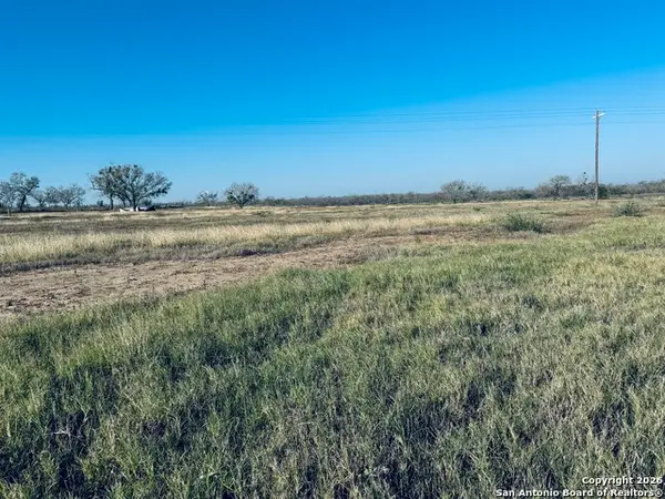TBD Byrd Rd, Pleasanton, TX 78064