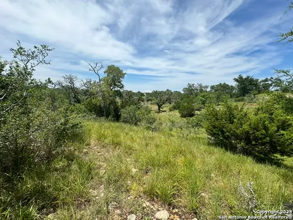 134 W Eli Chandler, Blanco, TX 78606