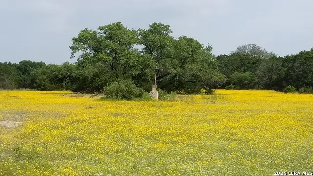 1263 Agaritaville, Spring Branch, TX 78070 - Image #1