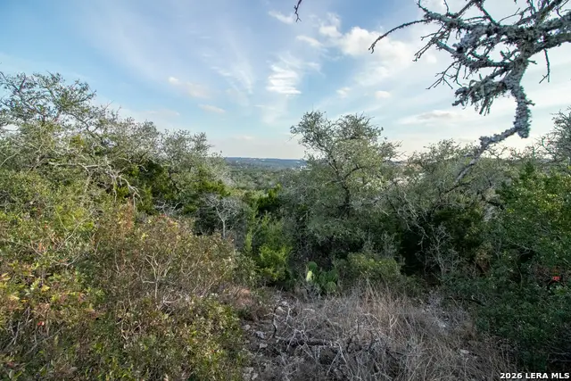 10028 Cates Creek, San Antonio, TX 78255 - Image #3