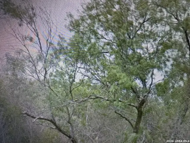 00 Ss Farms Lot 1920, Christine, TX 78064 - Image #2