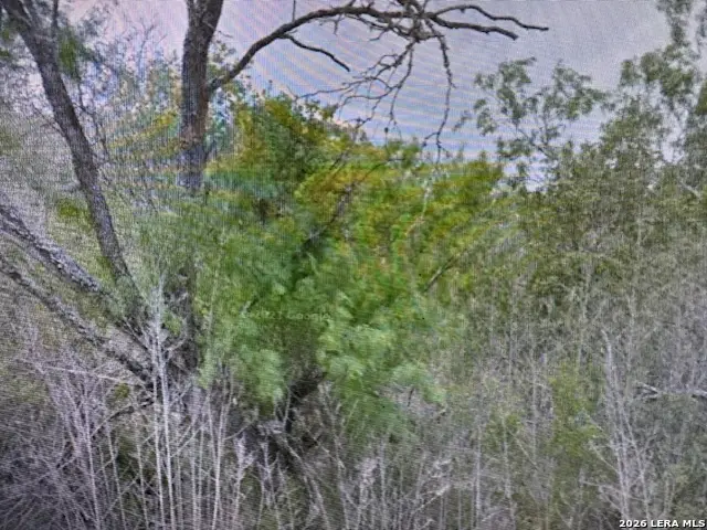 00 Ss Farms Lot 1920, Christine, TX 78064 - Image #3
