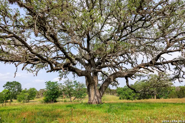 000 Clearwater Ranches 19, Comfort, TX 78013 - Image #2