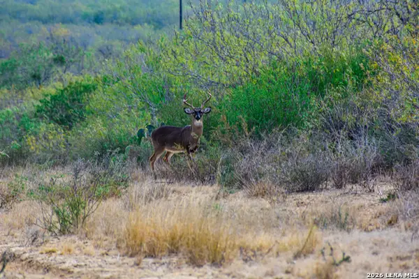 000 Easement Road, Laredo, TX 78045