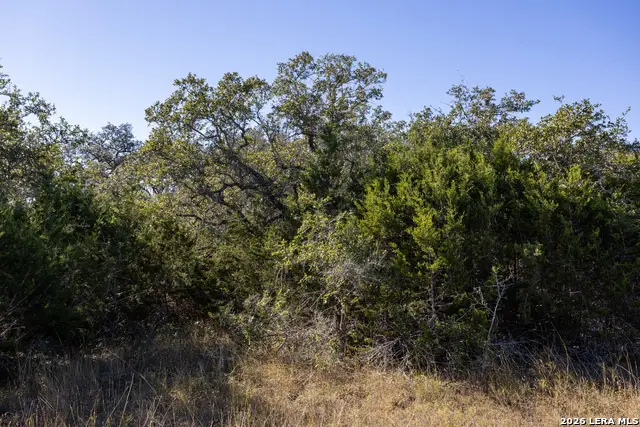 BLOCK 3, LOT 12 Easy Money, Boerne, TX 78006 - Image #3