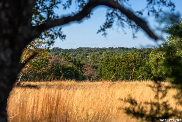 19 Legacy Oaks Drive, Harper, TX 78631 - #2