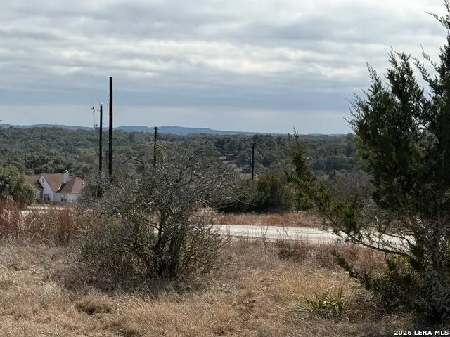 203 George Dolson, Blanco, TX 78606 - #1