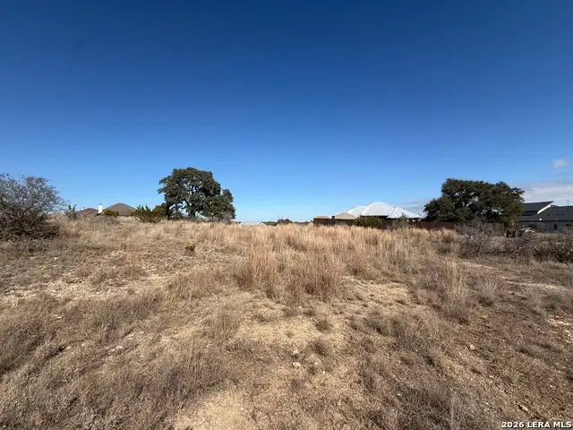 203 George Dolson, Blanco, TX 78606 - #3