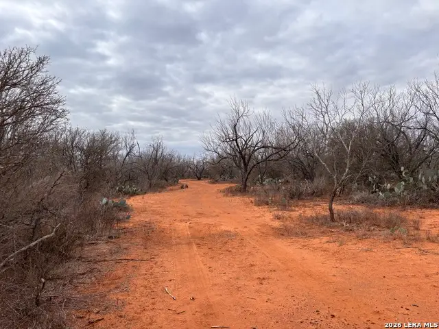 3201 Mckinley, Pearsall, TX 78061 - #2