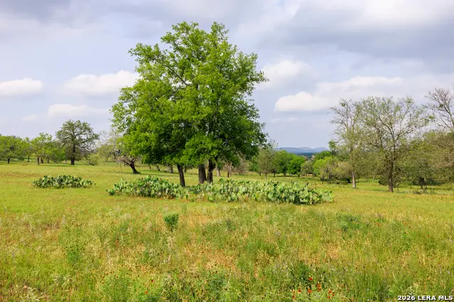 000 Clearwater Ranches 17, Comfort, TX 78013 - #3