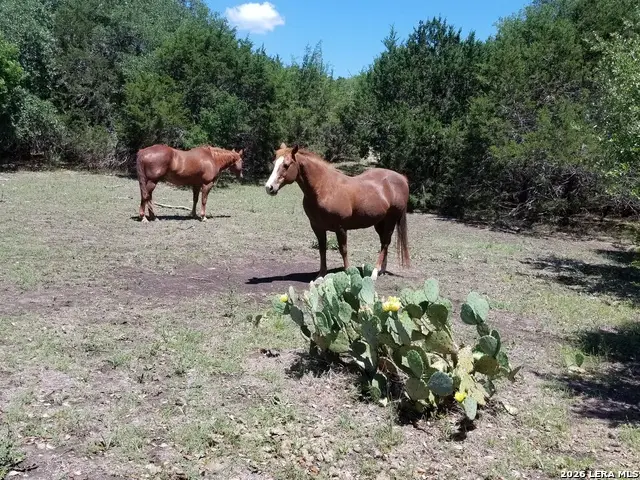 1035 (LOT 1777) Mystic Breeze, Spring Branch, TX 78070 - Image #2