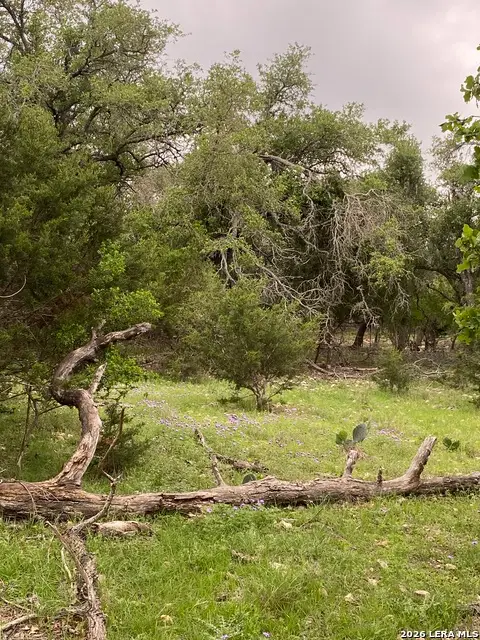 106 Ulmus, Fredericksburg, TX 78624 - Image #2
