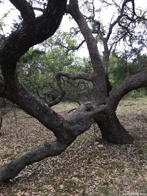 106 Ulmus, Fredericksburg, TX 78624 - Image #3