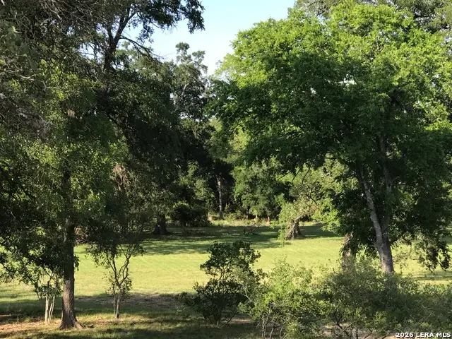 25534 Morhiss Point, Boerne, TX 78006 - #2
