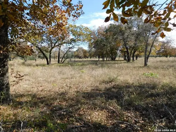 TBD Encino Way, Natalia, TX 78059