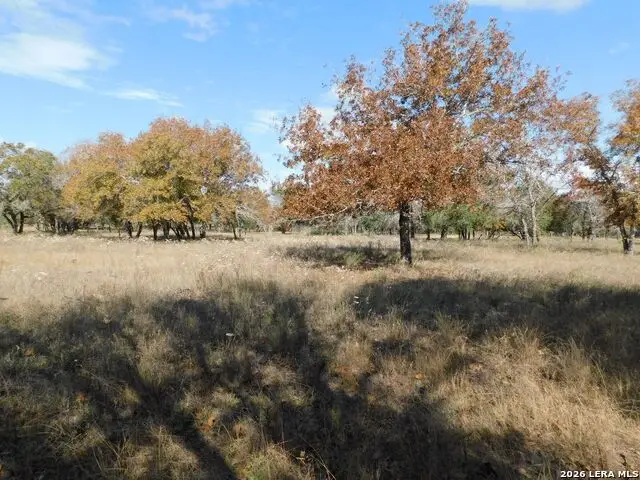 TBD Encino Way, Natalia, TX 78059 - #3