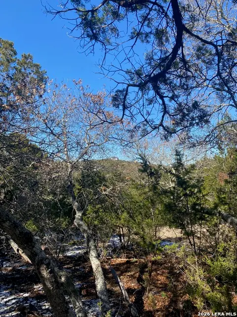 117 Sparrow Hawk Trail, Boerne, TX 78006 - #2