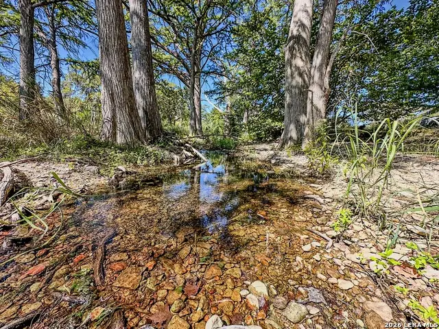 000 Ranch Rd 473, Blanco, TX 78606 - Image #3