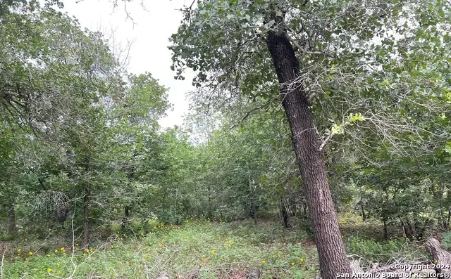 606 Sherrywood Ln, San Antonio, TX 78264 - Image #3