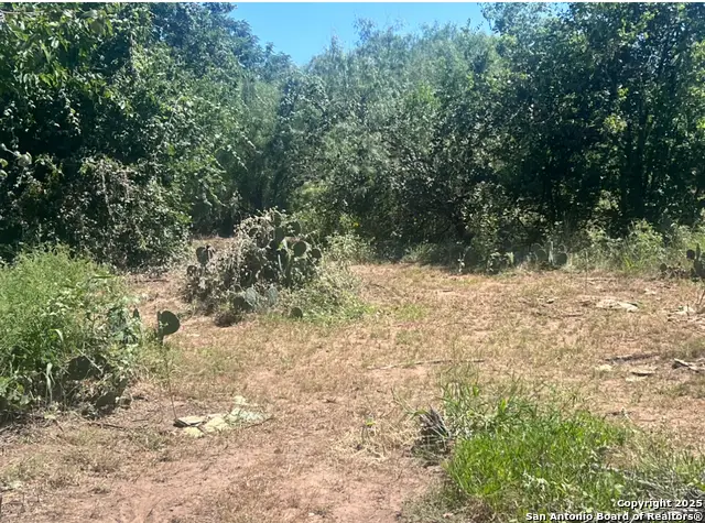 4810 S Loop 1604, Von Ormy, TX 78073 - Image #3