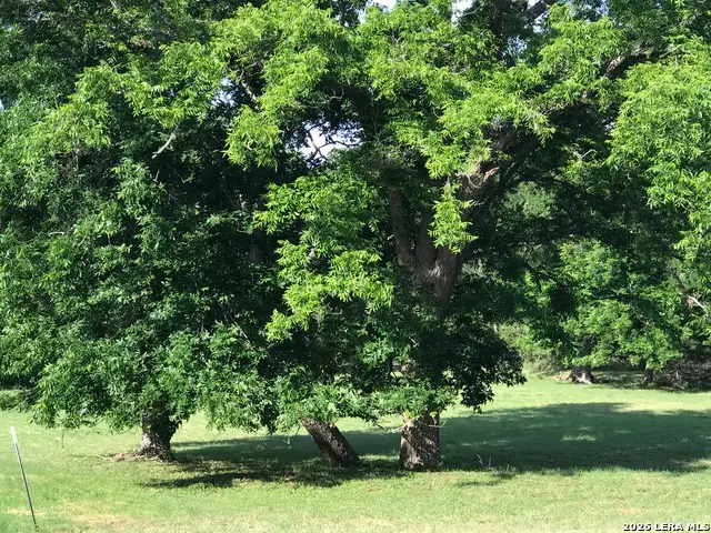 25636 Morhiss Point, Boerne, TX 78006 - #2