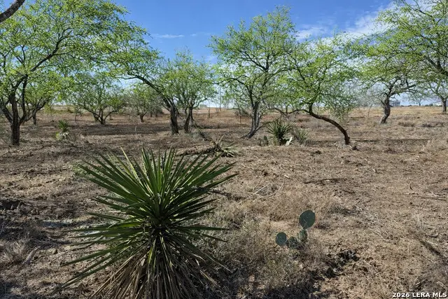 105 Sylas Hayes, Pleasanton, TX 78064 - #2