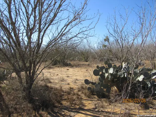 2662 County Road 307, Floresville, TX 78114 - #3