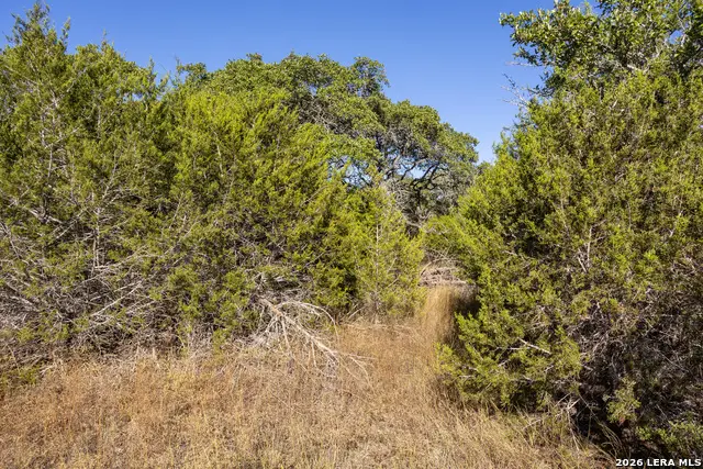 BLOCK 1, LOT 21 Standing Tall, Boerne, TX 78006 - #3