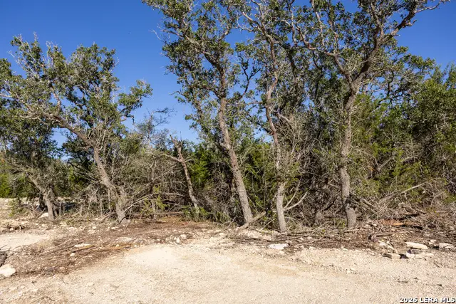 BLOCK 1, LOT 22 Standing Tall, Boerne, TX 78006 - #3