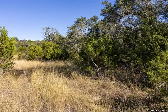 BLOCK 1, LOT 23 Standing Tall, Boerne, TX 78006 - #3
