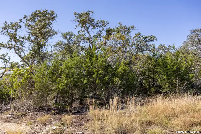 BLOCK 1, LOT 13 Standing Tall, Boerne, TX 78006 - #3