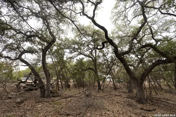 2480 Cypress Gardens, Spring Branch, TX 78070