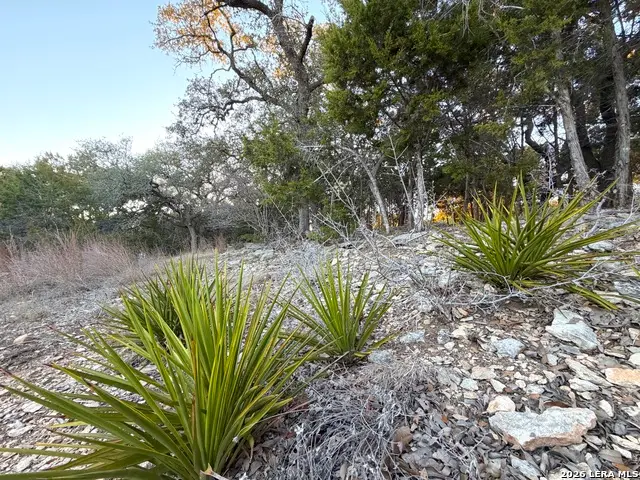 209 Legacy, Canyon Lake, TX 78133 - #3